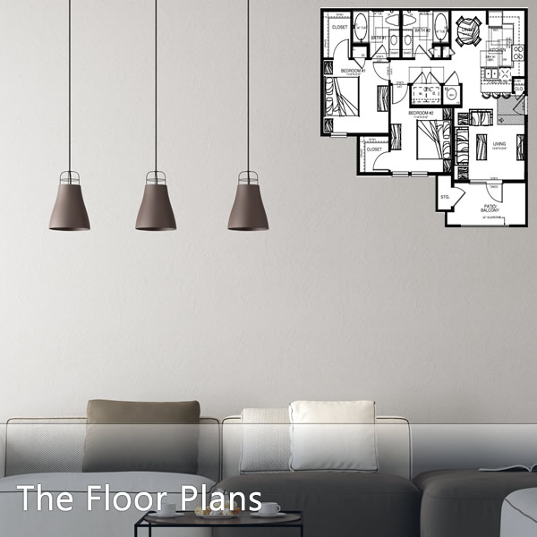 Spacious Floor Plans